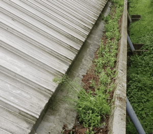 Happy customers in Broxbourne who trust The Roof Moss Cleaners for gutter cleaning services