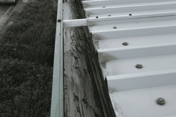 Commercial gutter cleaning specialists in Broxbourne